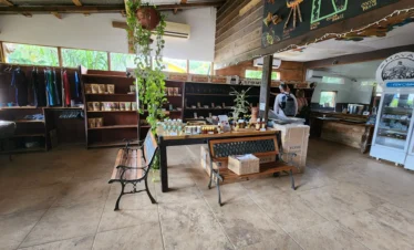 A guide explains the cacao bean processing to a man during a Roatan chocolate factory tour