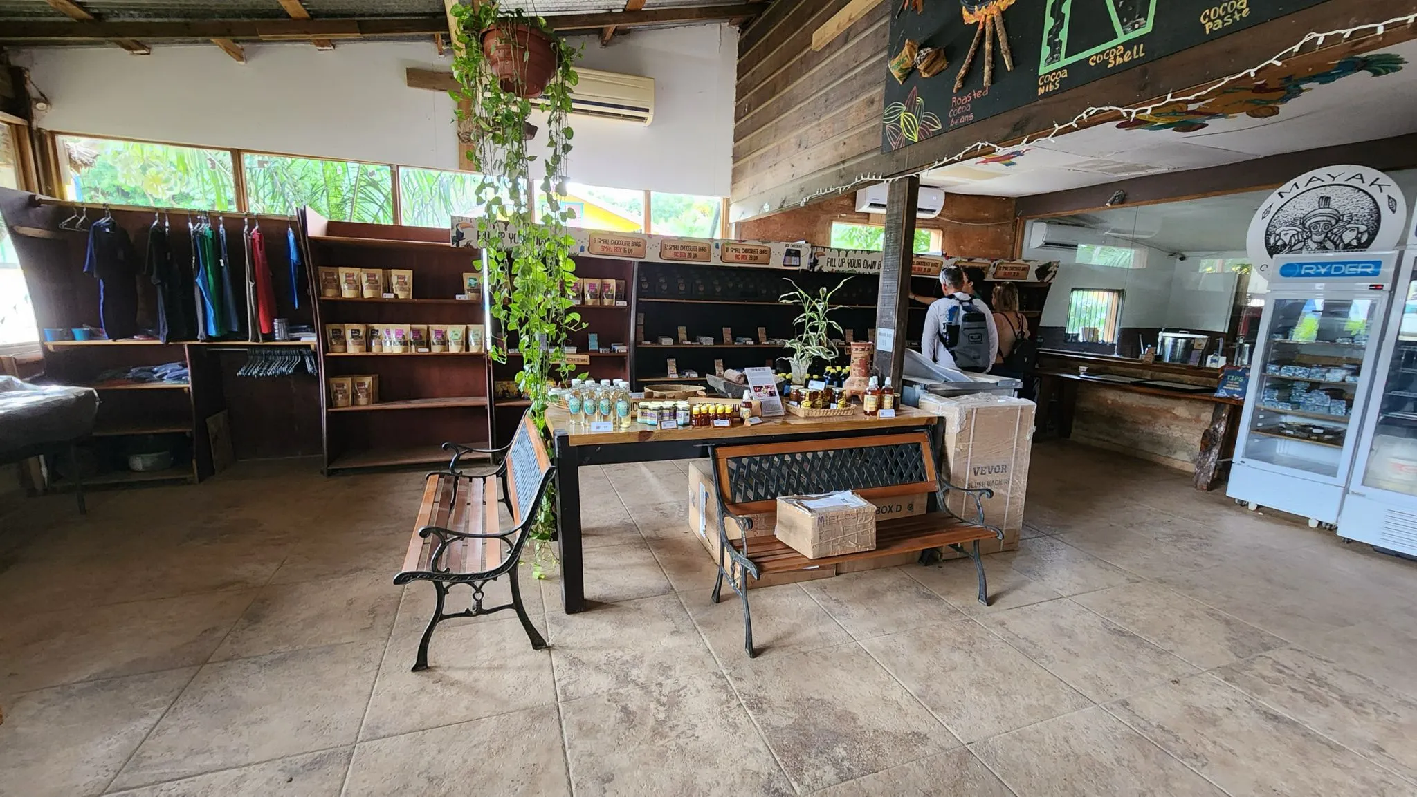 A guide explains the cacao bean processing to a man during a Roatan chocolate factory tour